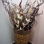 Marica 아파트 *