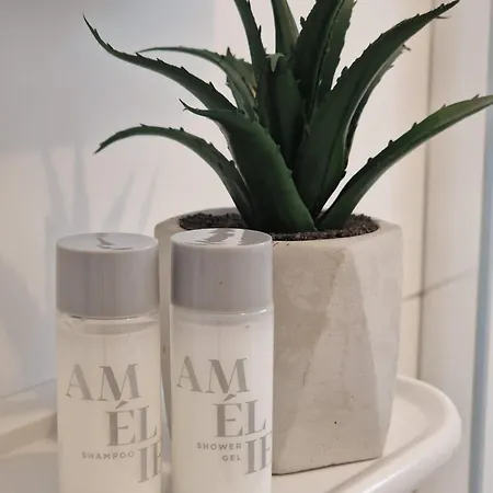 公寓 Marica 布罗达里卡