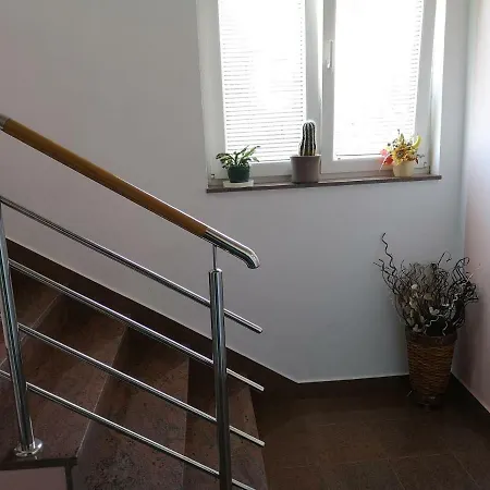 Marica * Бродарица